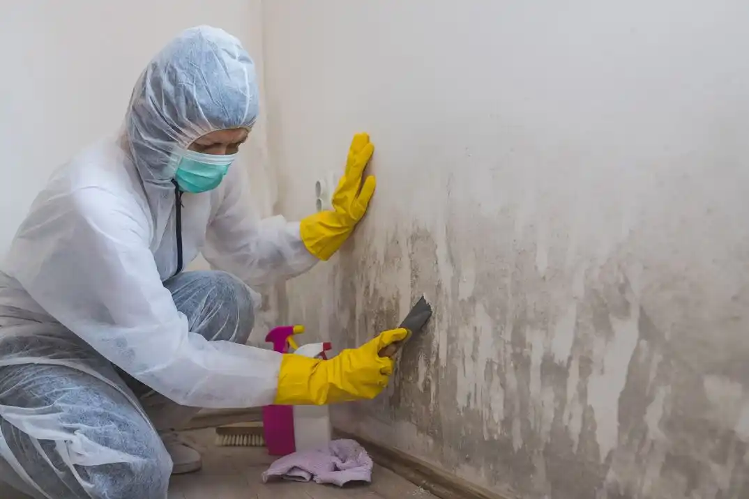 water damage restoration service People's Park